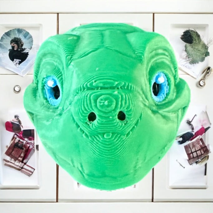 Turtle head magnet